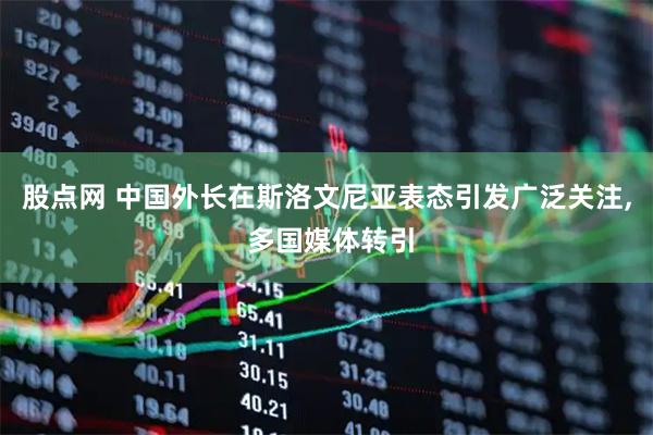 股点网 中国外长在斯洛文尼亚表态引发广泛关注, 多国媒体转引
