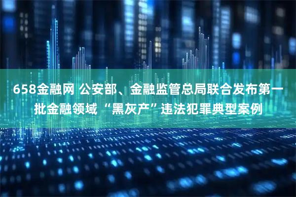 658金融网 公安部、金融监管总局联合发布第一批金融领域 “黑灰产”违法犯罪典型案例