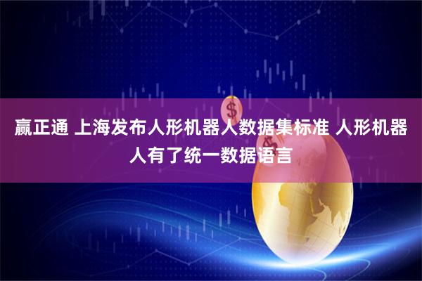 赢正通 上海发布人形机器人数据集标准 人形机器人有了统一数据语言