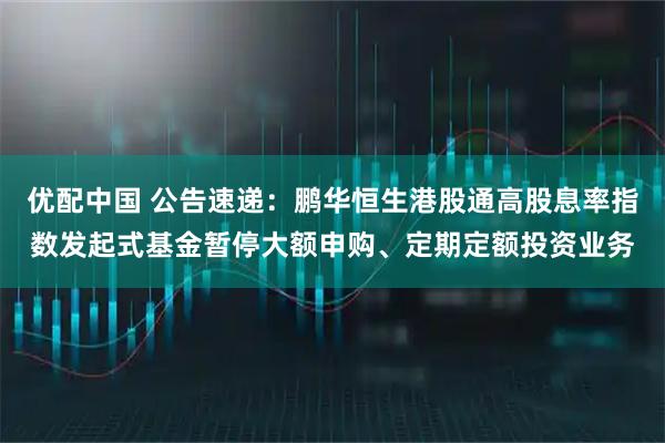优配中国 公告速递：鹏华恒生港股通高股息率指数发起式基金暂停大额申购、定期定额投资业务
