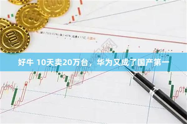 好牛 10天卖20万台，华为又成了国产第一